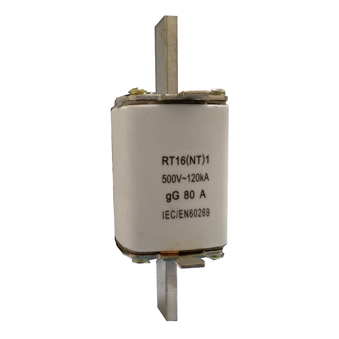 RHENES  FUSIBLE NH-01 RT16G1 160A PROTECCION ESTANDAR (GM)