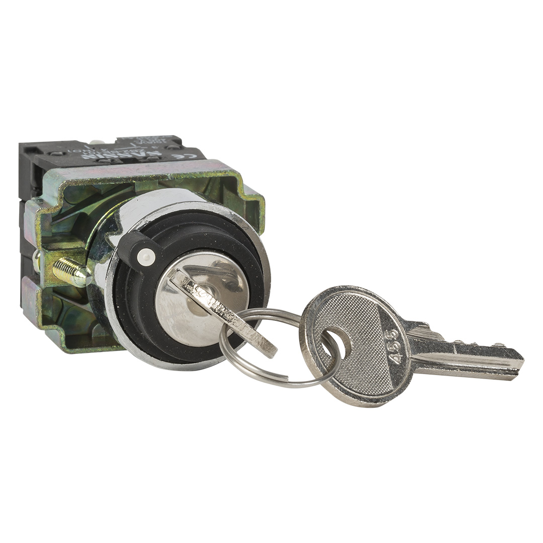 RHENES  SELECTOR METALICO Ø22MM C/LLAVE RONIS 2 POSICIONES EXTRACCION IZQ Y DCHA 1NO